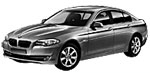BMW F10 C1099 Fault Code
